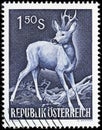 European Roe Deer Stamp