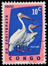 Great White Pelican Stamp