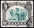 Two Camels Stamp