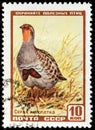 Grey Partridge Stamp