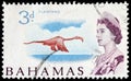 Carribean Flamingo Stamp