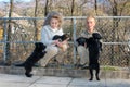 Woman with dogs at the animal shelter