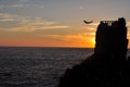 Diver in flight before falling into the sea Royalty Free Stock Photo