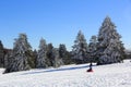 Luge in the Vosges in winter