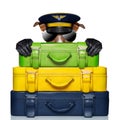 Luggage captain dog Royalty Free Stock Photo