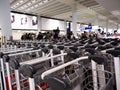 Luggage carts at airport terminal