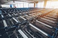 Luggage carts in terminal of Maldives airport Royalty Free Stock Photo