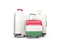 Luggage with flag of hungary. Three bags isolated on white