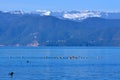 Lugu Lake Royalty Free Stock Photo