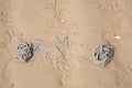 Lugworm or sandworm cast on sand