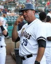 Luis Dorante, Charleston RiverDogs