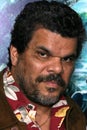 Luis Guzman Royalty Free Stock Photo