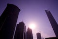 Skyline of office buildings at at sunrise with SWFC - Shanghai World Financial Center on the right