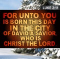 Christmas Luke 2:11 Royalty Free Stock Photo