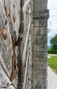 Focus on rusted handle and bolts on wooden old patterned doors, with blurred bakcground Royalty Free Stock Photo