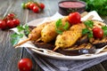 Lula kebab with grilled eggplant on pita bread. Dietary chicken kebabs on a skewer with vegetables Royalty Free Stock Photo