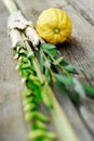 Lulav and Etrog Royalty Free Stock Photo