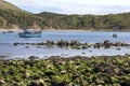 Lulworth Cove - Dorset - England Royalty Free Stock Photo