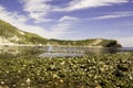 Lulworth Cove, Dorset; England; UK Royalty Free Stock Photo