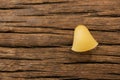 Lumache rigate pasta on wooden surface Royalty Free Stock Photo