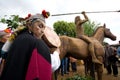 Mapuche machi performing a traditional prayer