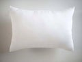 Lumbar pillow insert isolated