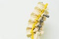 Lumbar spine model with instrument fixation