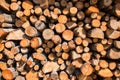 Lumber. Fire logs. Firewood natural background Royalty Free Stock Photo