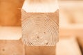 lumber industrial wood texture, timber butts background Royalty Free Stock Photo