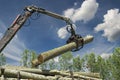 Lumber Industry - Crane Lifting Timber Royalty Free Stock Photo