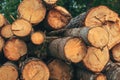 Lumber industry, cut down tree trunks stacked Royalty Free Stock Photo
