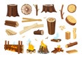 Lumber. Logs and timbers, wooden boards. Tree branches, wood shavings and sawdust. Burning and extinct bonfire, isolated