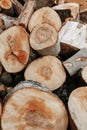 Lumber natural texture, organic wooden background. Stacked logs of firewood.