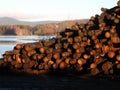 Lumber Pile Royalty Free Stock Photo