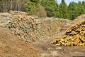 Lumber Pile Royalty Free Stock Photo