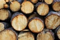 Lumber pile Royalty Free Stock Photo