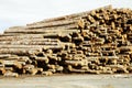 Lumber Processing 3 Royalty Free Stock Photo