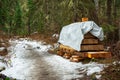 Lumber stack covered on a snowy forest path, awaiting its journey ahead Royalty Free Stock Photo