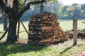 Lumber stack Royalty Free Stock Photo