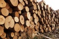 Lumber, stacked sawn logs outdoors close up