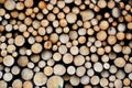 Lumber wood Royalty Free Stock Photo