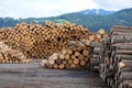 Lumber wood Royalty Free Stock Photo