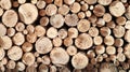 Lumber, wooden wallpaper, nature. Stack of logs. A pile of firewood nearby. Ready cuttings for the fireplace. Woodpile. Firewood Royalty Free Stock Photo