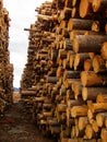 Lumber yard in Merritt, BC, Canada