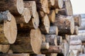 Lumber yard with stacked lumber