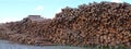 Lumber yard wood stack timber construction lumbering forestry cut