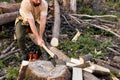 Lumberjack in casual shirt chops tree in deep forest with sharp ax Royalty Free Stock Photo
