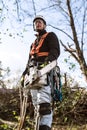 Lumberjack with chainsaw and harness going to prune a tree. Royalty Free Stock Photo