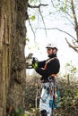 Lumberjack with chainsaw and harness pruning a tree. Royalty Free Stock Photo