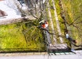 Lumberjack with chainsaw and harness pruning a tree. Royalty Free Stock Photo